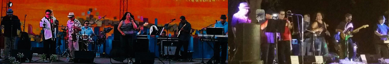Live Bands Now, Live Music Now, Live Acts Now, Live Performance Now 